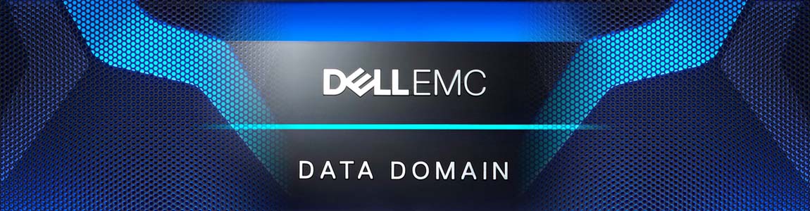 نمایندگی EMC Data Domain | فروش EMC Data Domain | محصولات ذخیره سازی EMC Data Domain | استورج Data Domain | نماینده دیتا دامین